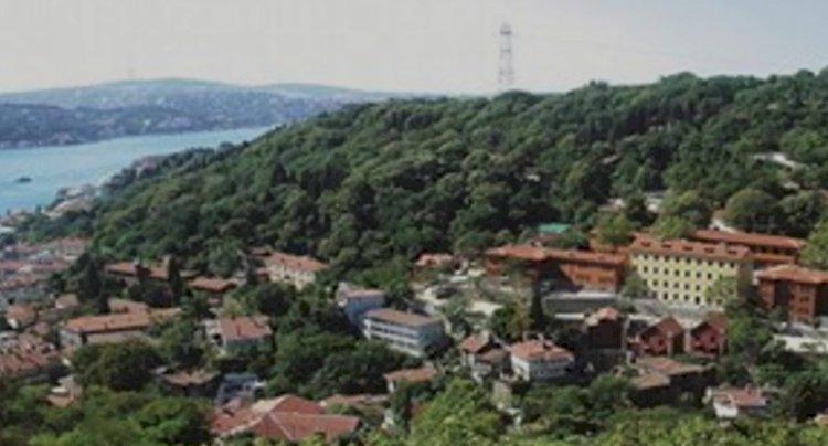 Nef Bebeköy
